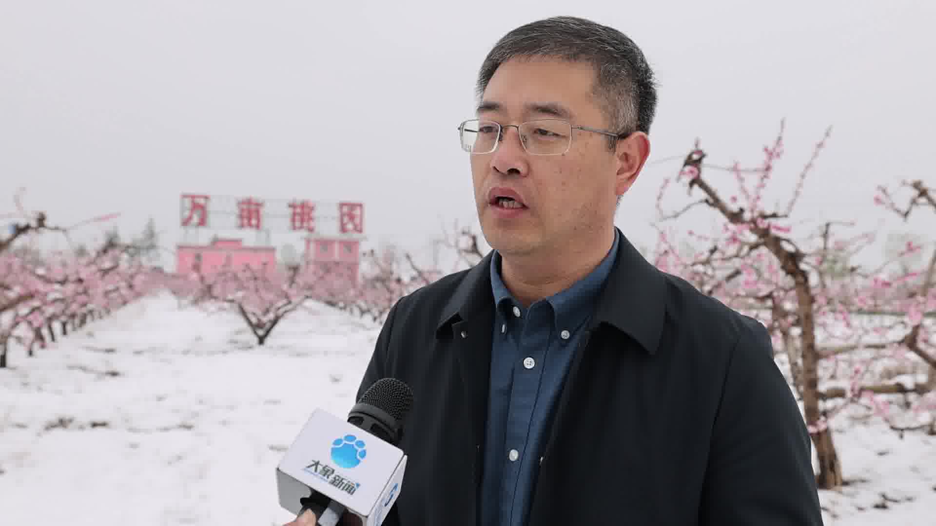 开新唱起来河南卫视梨园春亮相中原农谷平原示范区桃花节