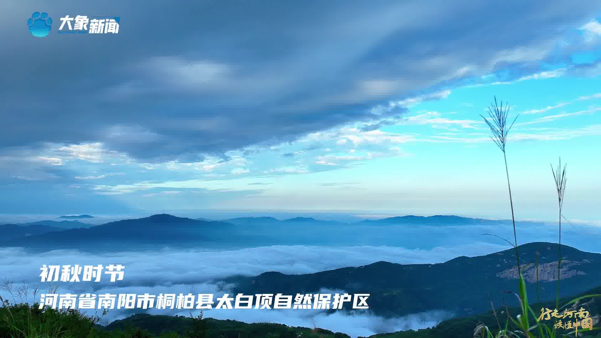 美丽河南秋桐柏秋山极天净云涌万壑间