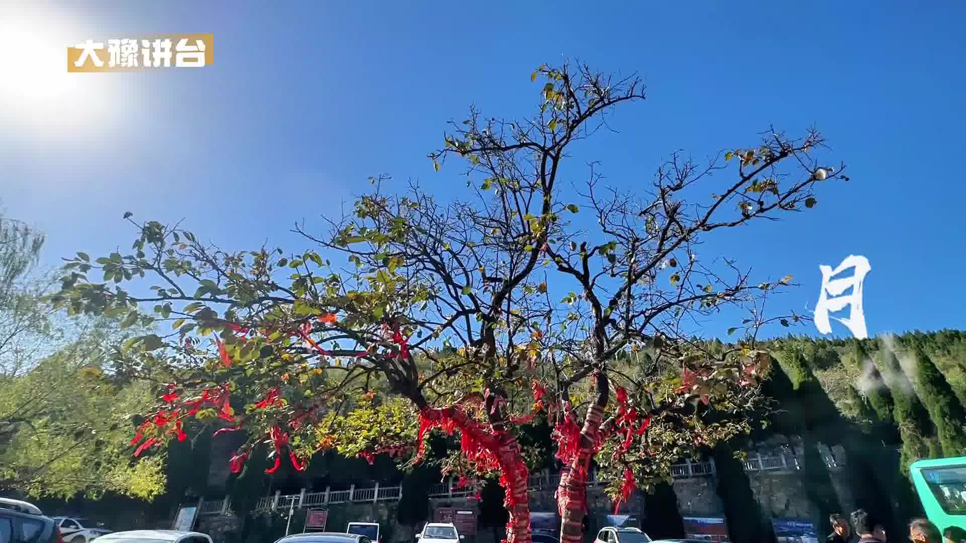台胞寻根老家河南丨打卡月山寺
