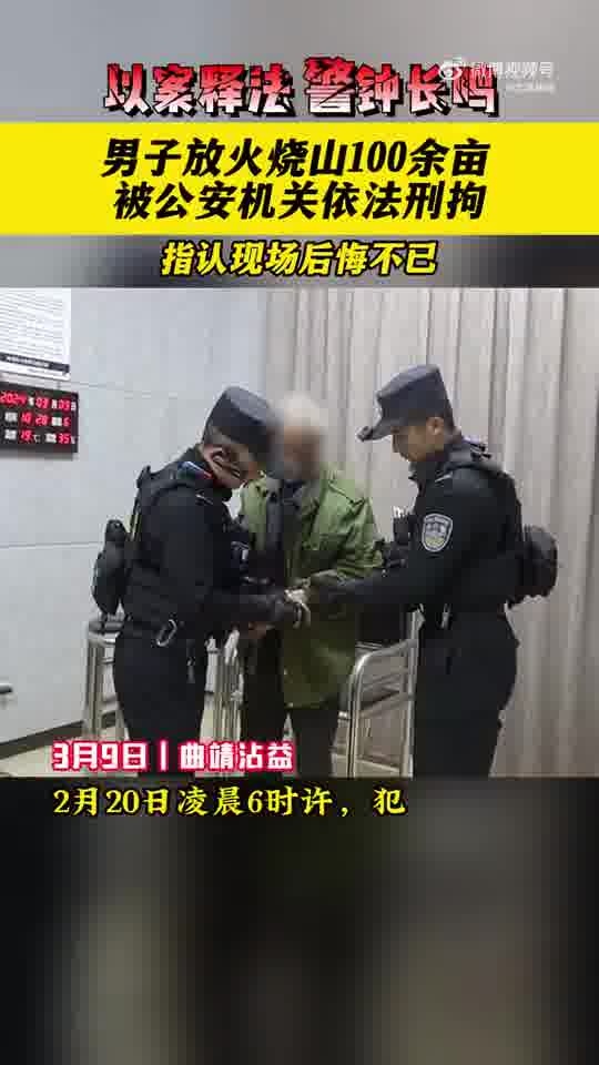 男子为发泄情绪放火烧山100余亩已被依法刑拘