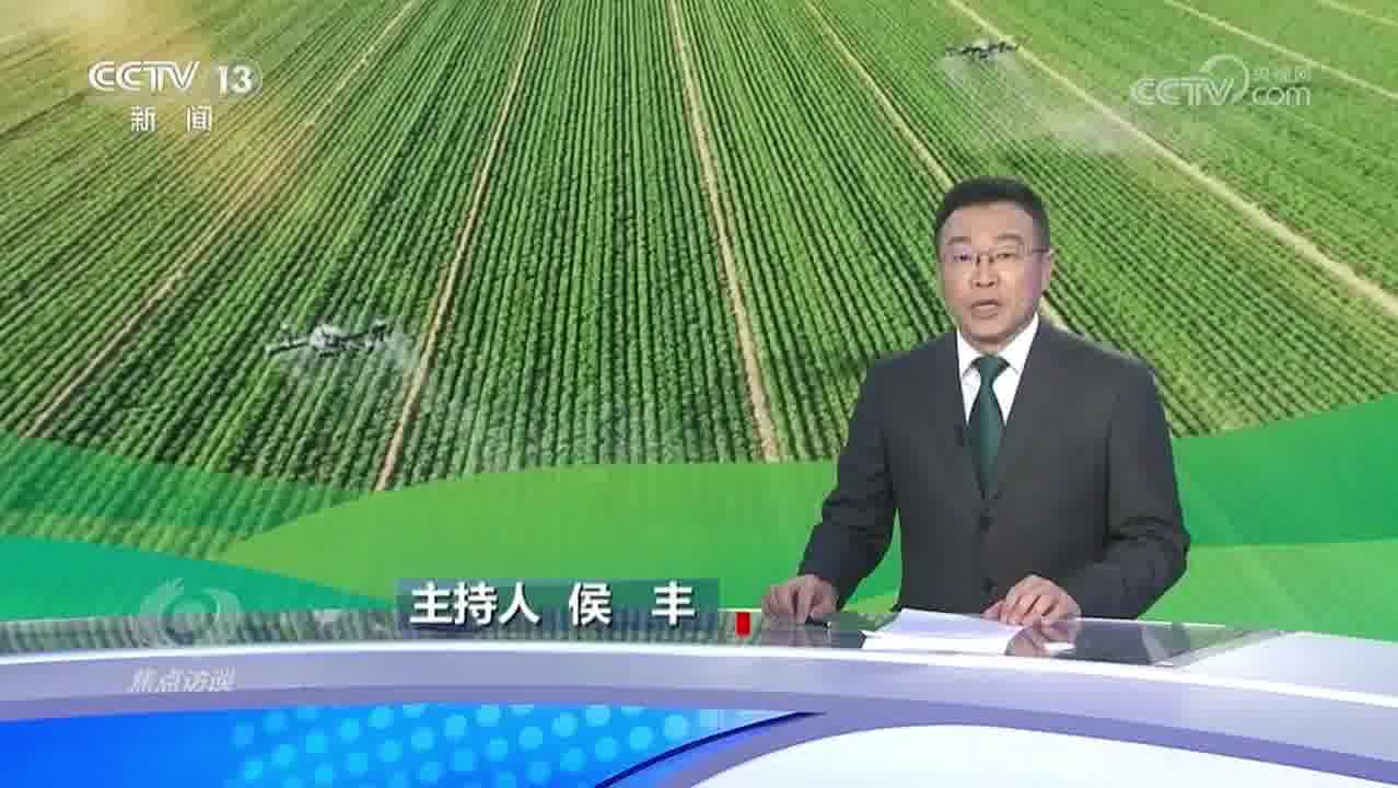 侯丰主持人图片