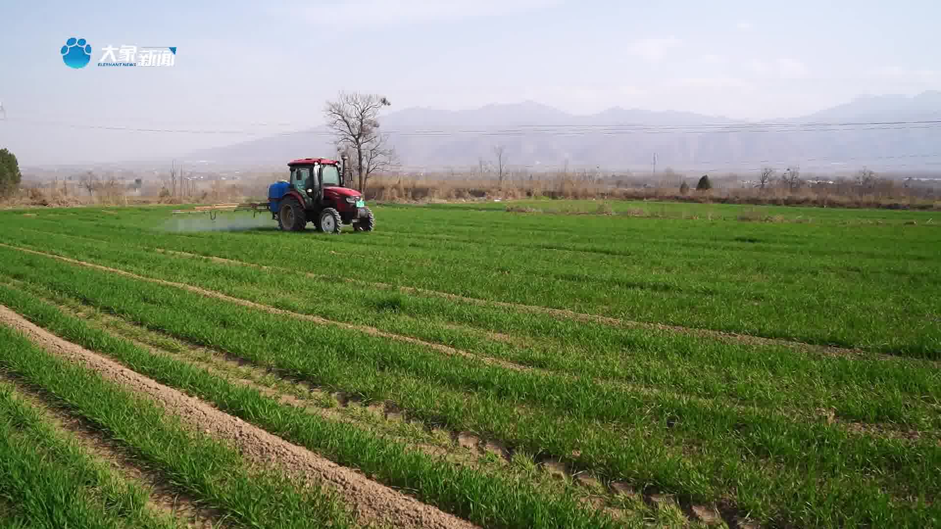 河南灵宝:抢抓农时"一喷三防"保障夏粮丰产丰收-大象网