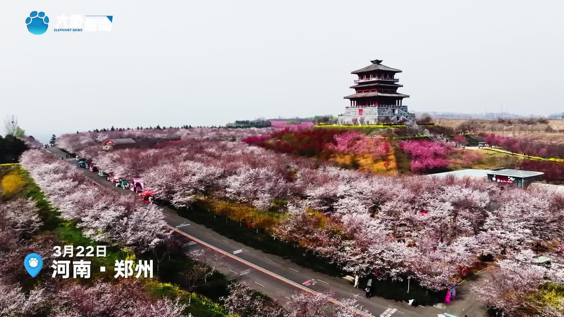 古柏渡门票图片