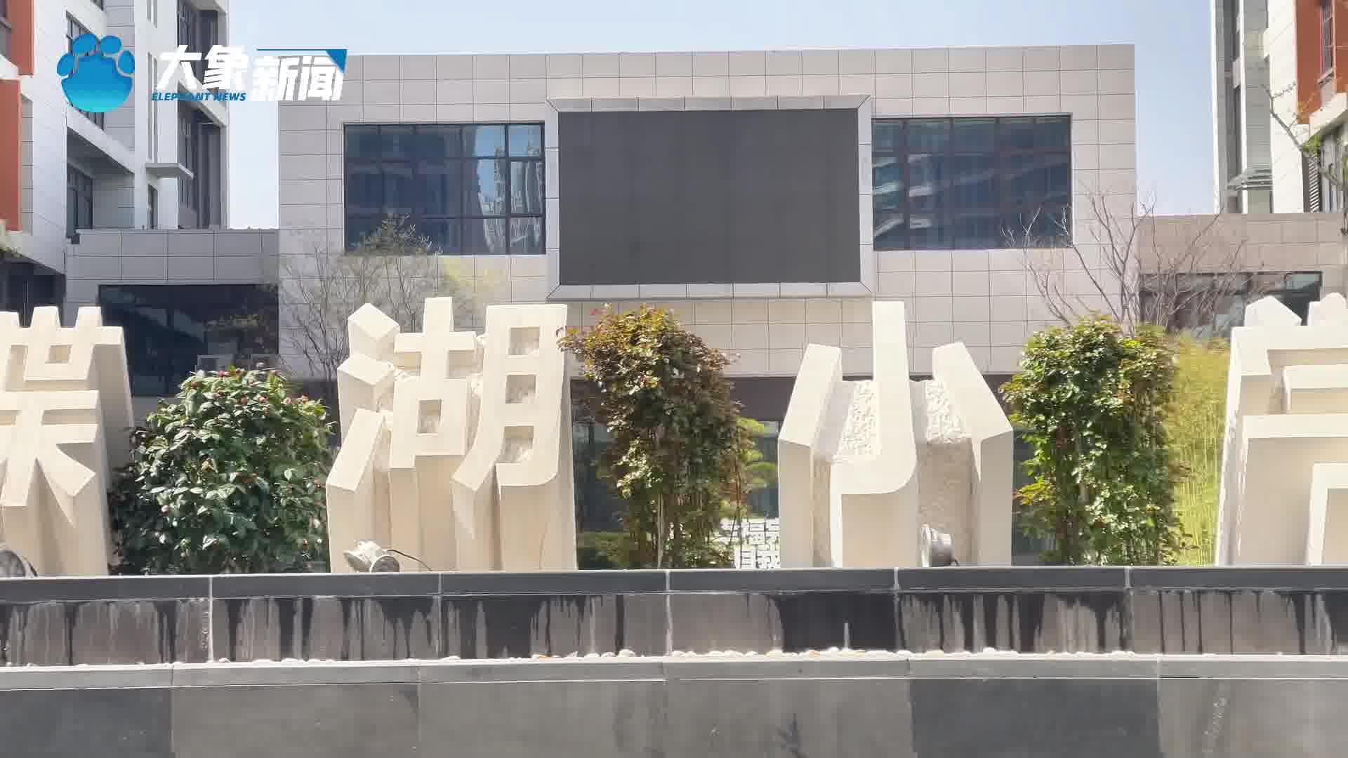 郑州经开区蝶湖小学儿童剧《狮子王》开演-大象网