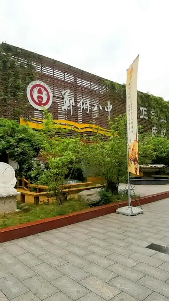 郑州八中组织开展黄河文化进校园暨非遗文化展示活动