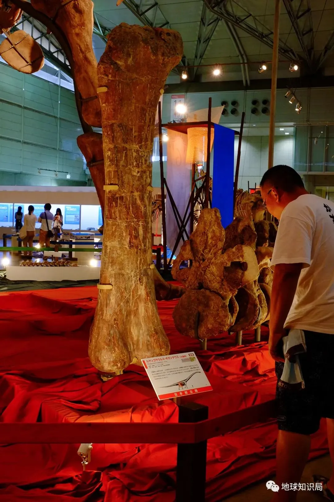 他们在河南找到无数条龙