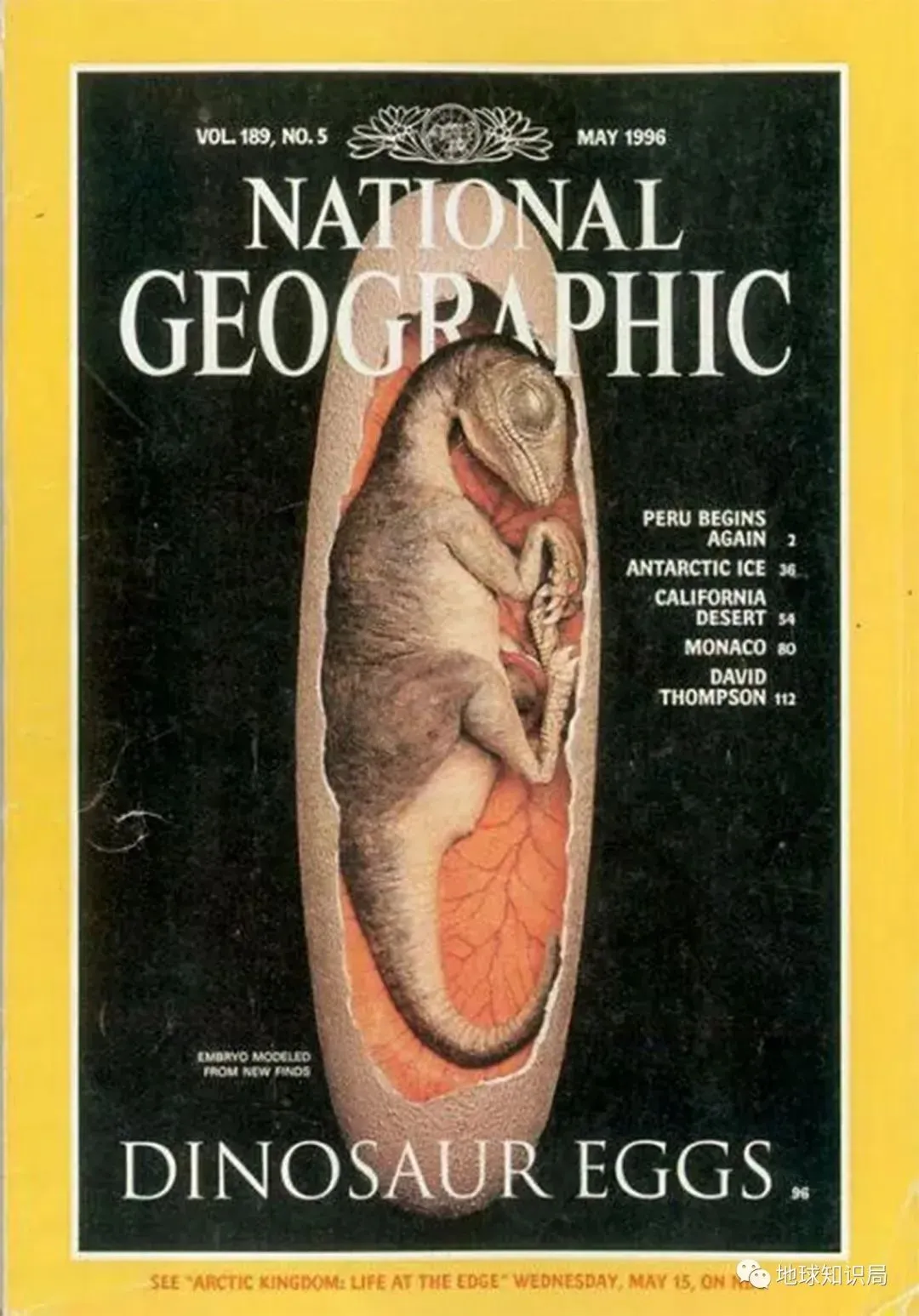 他们在河南找到无数条龙