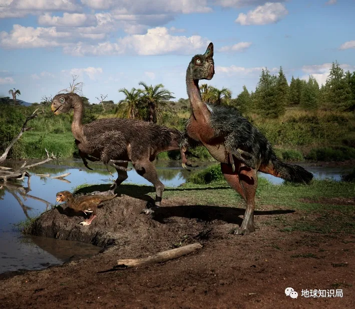 他们在河南找到无数条龙