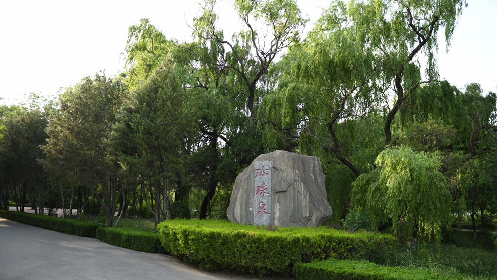 安阳殷都：千年珍珠泉焕新颜 文旅融合展新姿