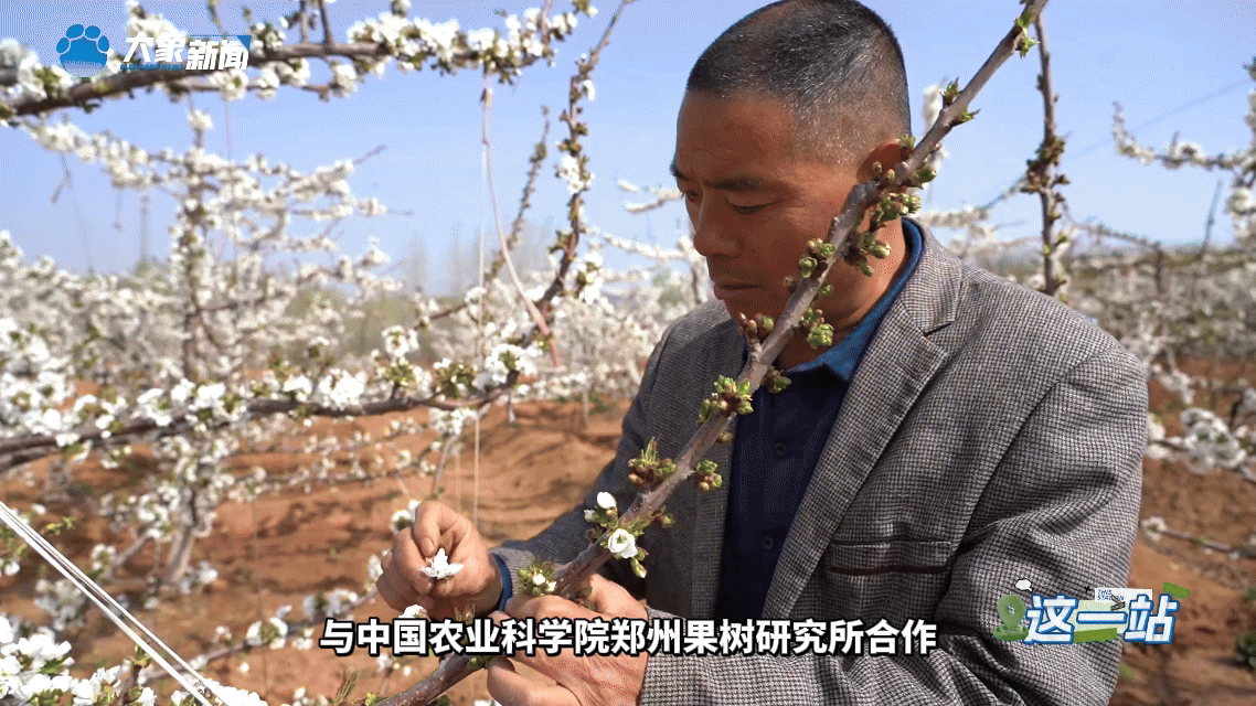 三門峽義馬：煤城美了丨這一站·送福利啦