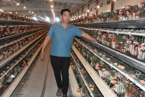 奋斗正当时！汝州崔成国：从收废铁到养殖大户