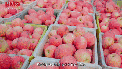 這里的蘋果，帶著“中國(guó)芯”飛上了太空