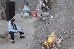 女子烧垃圾时突遇爆炸烧伤面部 身旁小狗也被波及