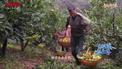 新河南 新高地⑥丨山河煥新顏