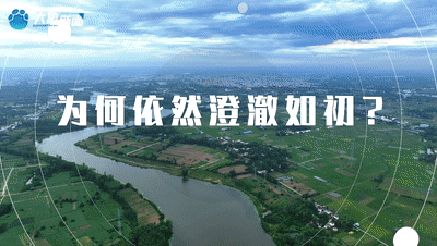 新河南 新高地⑥丨山河煥新顏