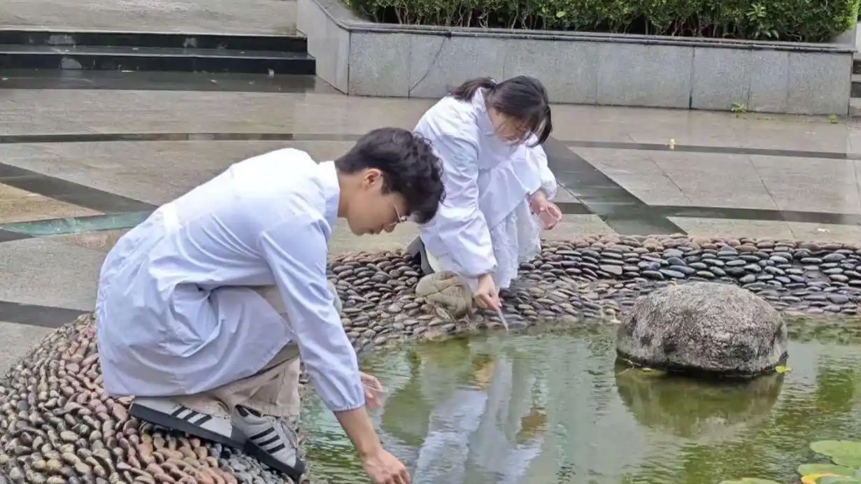 杀不光的蚊子将遇“克星”，三省专家组团“围剿”幼蚊