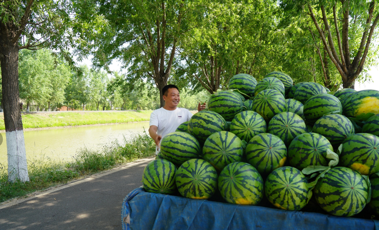 瓜果飘香迎远朋!襄城第十四届西瓜采摘旅游文化节开幕