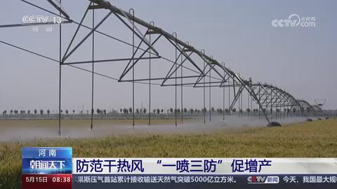【央视关注河南】防范干热风 “一喷三防”促增产