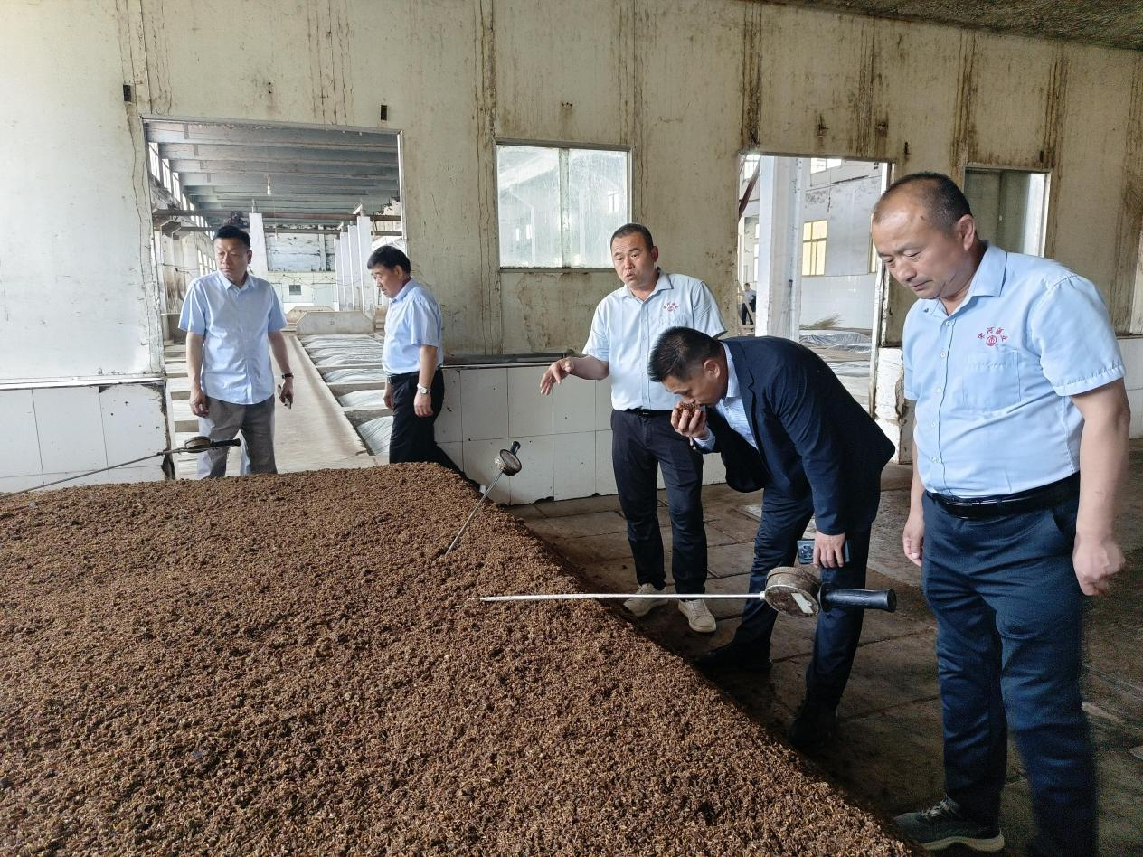 半年新增近2000吨,新宋河酿酒一刻不停