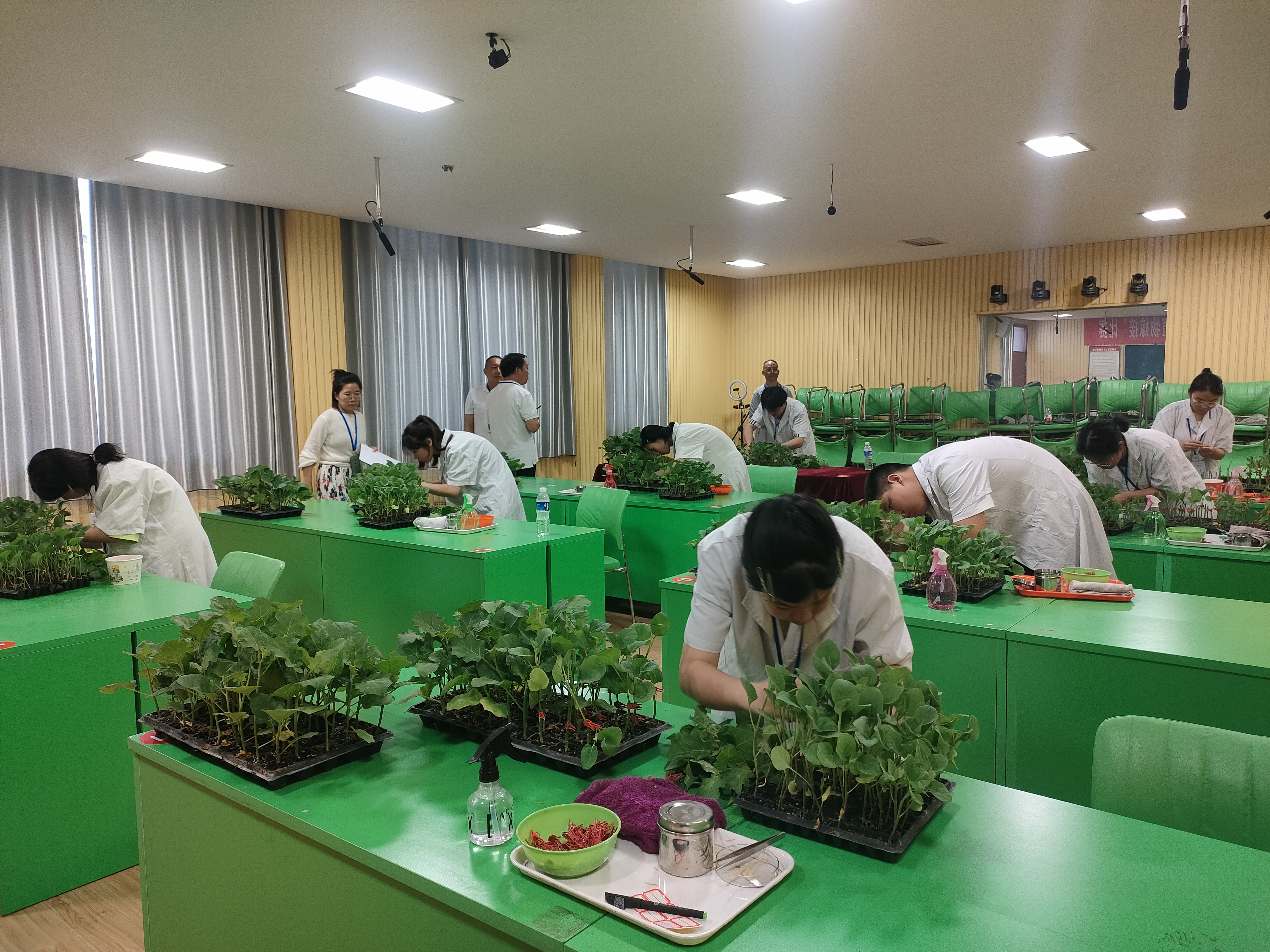 "产教融合"赋能职业教育 博爱职教宣传周亮点纷呈