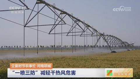 【央视关注河南项城】 “一喷三防”减轻干热风危害