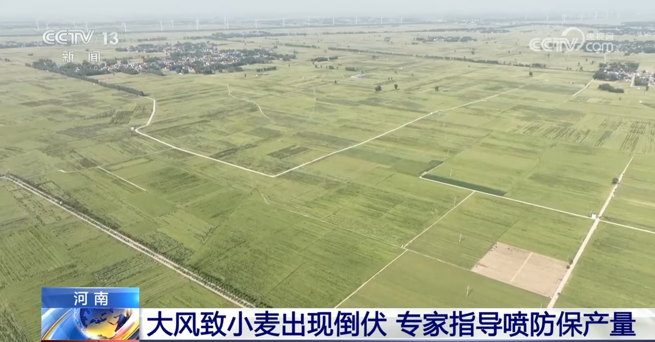 央媒看河南｜关注河南小麦生产、节能降碳等内容