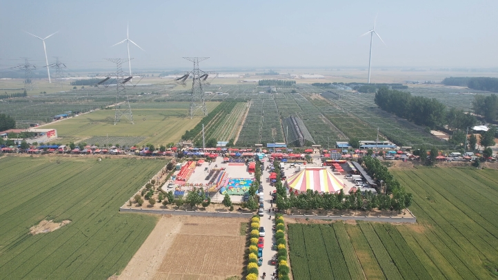 近日,台前县打渔陈镇田庄村迎来了一年一度的樱桃盛会,活动现场热闹