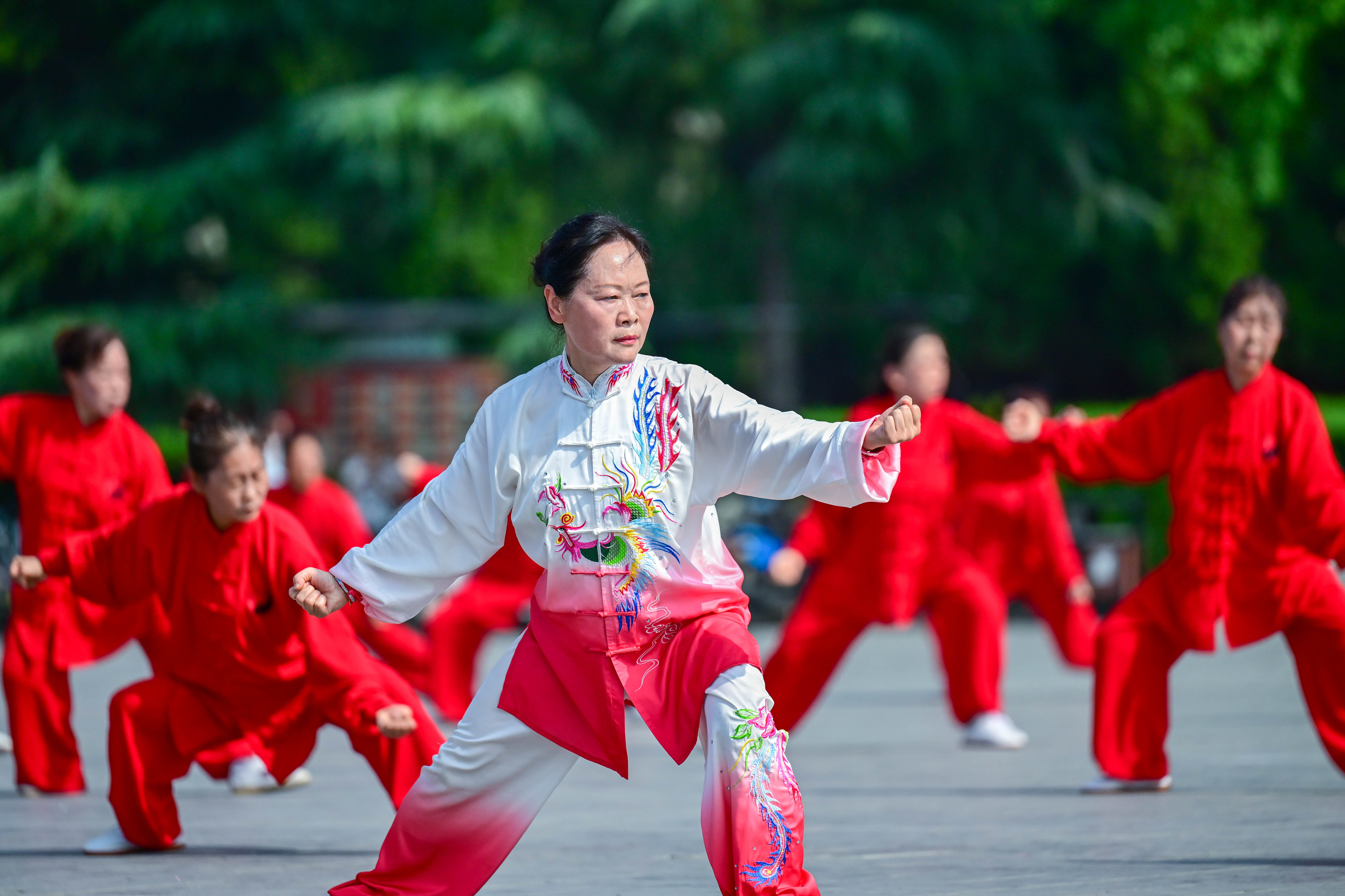 陈氏太极拳展示活动分三个篇章:中国功夫扇,46式太极短棍和陈式26式