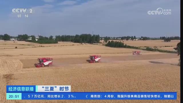 【央视关注河南】小麦陆续开镰收割