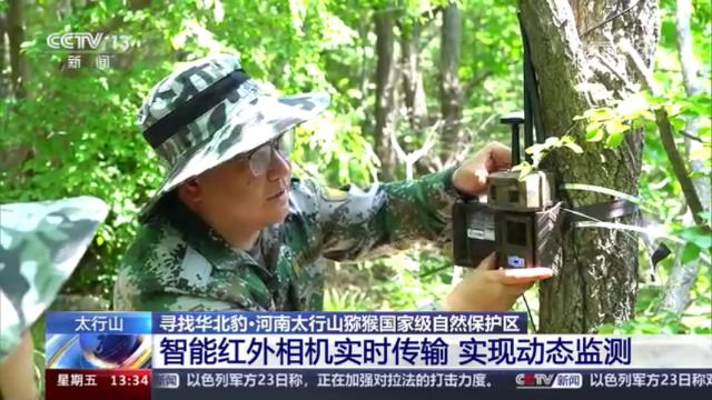央媒看河南 | 关注河南野生动物保护、三夏麦收等内容