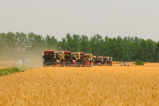 信阳息县:又是一年好"丰"景