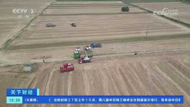 【央视关注河南】大规模机收小麦 加强农机对接服务