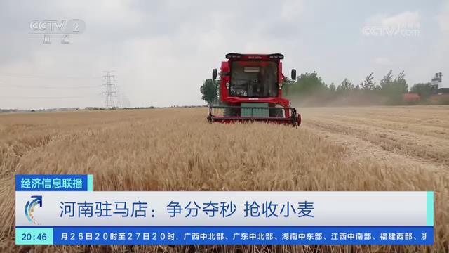 【央视关注河南驻马店】争分夺秒 抢收小麦