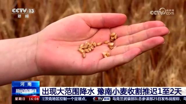 央媒看河南 | 关注河南三夏进展、温暖故事等内容