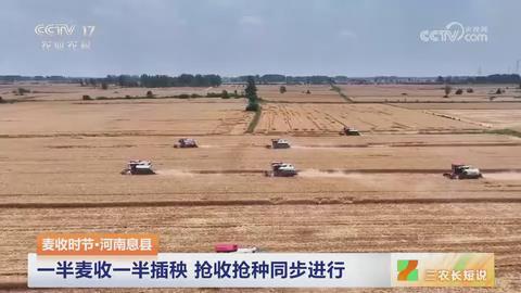 【央视关注河南息县】一半麦收一半插秧 抢收抢种同步进行