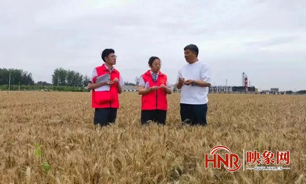 农行周口分行：“早、快、全”金融服务助力夏粮颗粒归仓