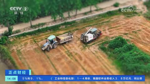 【央视关注河南信阳】“稻麦同框” 农田秒变微缩世界