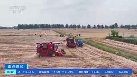 【央视关注河南驻马店】高性能收割机加快麦收进度