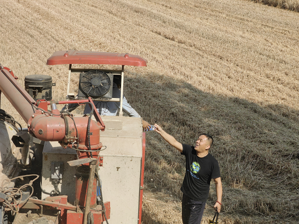 鲁山：“三夏”抢收忙 第一书记显担当