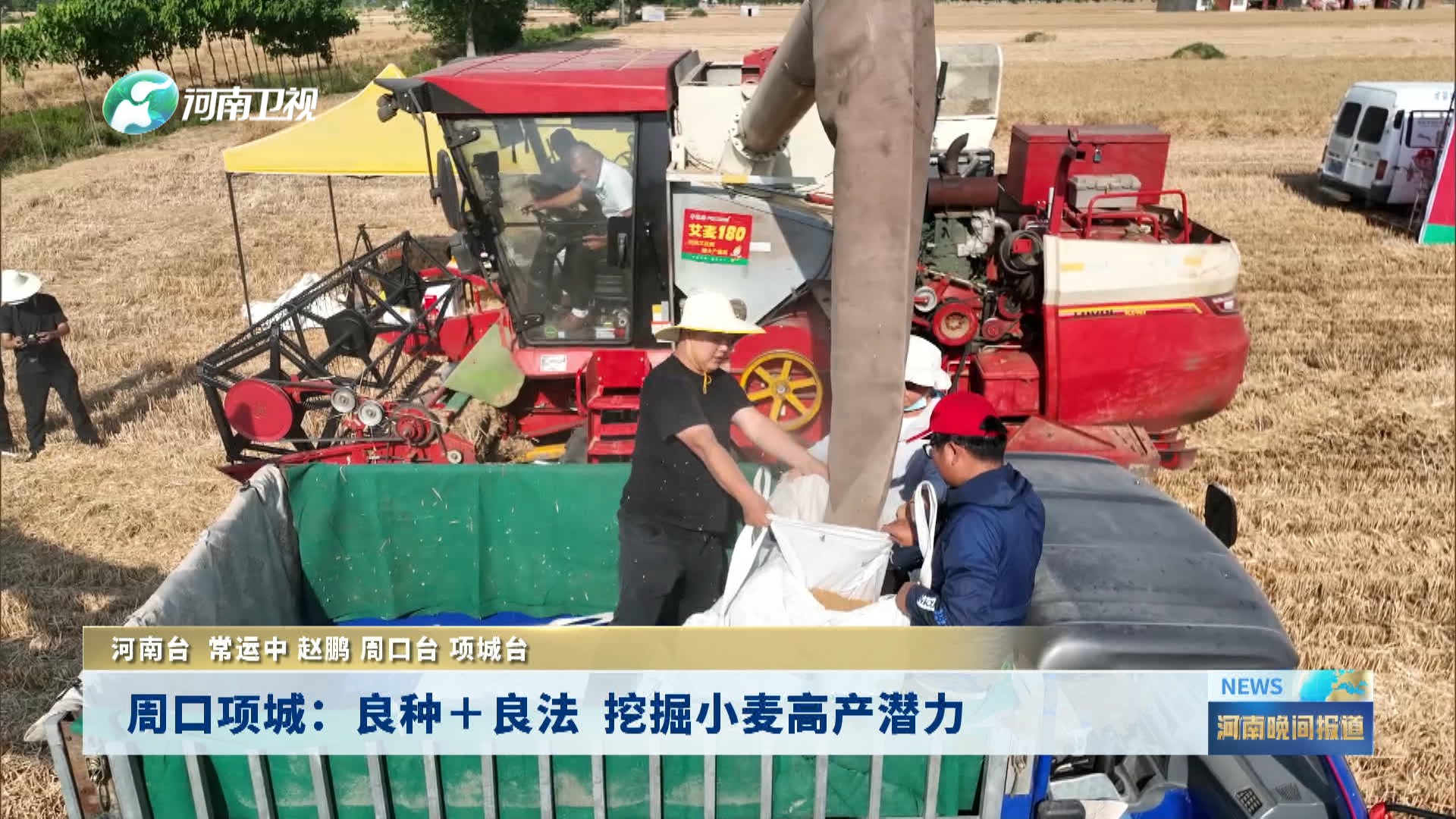 周口项城：良种＋良法  挖掘小麦高产潜力