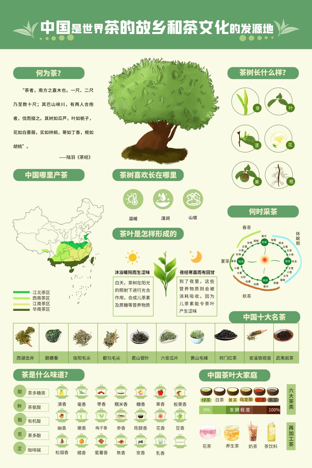 一起开启河南茶文化研学之旅