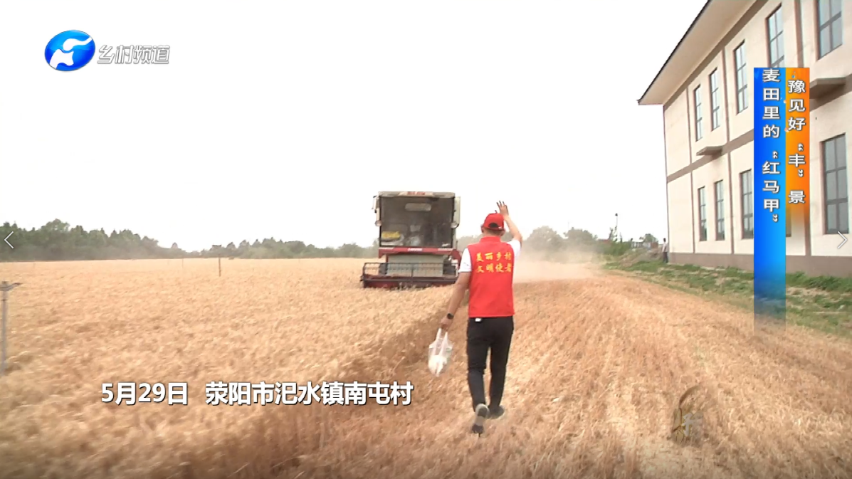 大象网-河南广播电视台-河南网络广播电视台