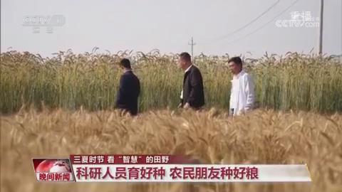 【央视关注河南信阳】科研人员育好种 农民朋友种好粮