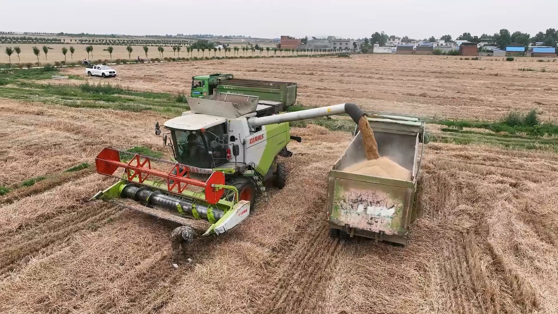 智慧农业:"短板"小麦地逆袭丰收季