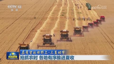 【央视联播关注河南驻马店】抢抓农时 有序推进夏收
