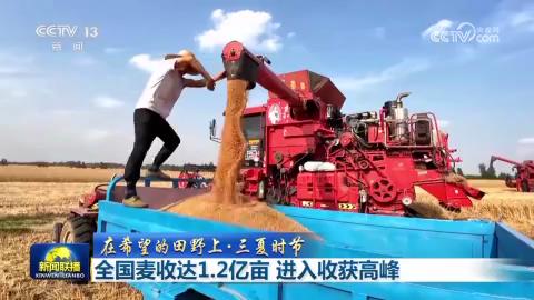 央媒看河南 | 关注河南麦收动态、培育钻石等内容