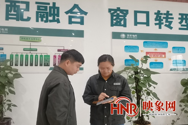 国网平舆县供电公司：数字化赋能创新发展