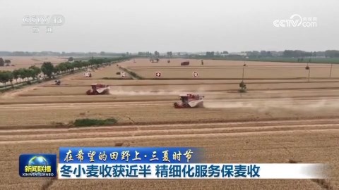 央媒看河南 | 关注河南三夏保障等内容
