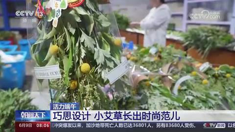【央视关注河南南阳】巧思设计 小艾草长出时尚范儿