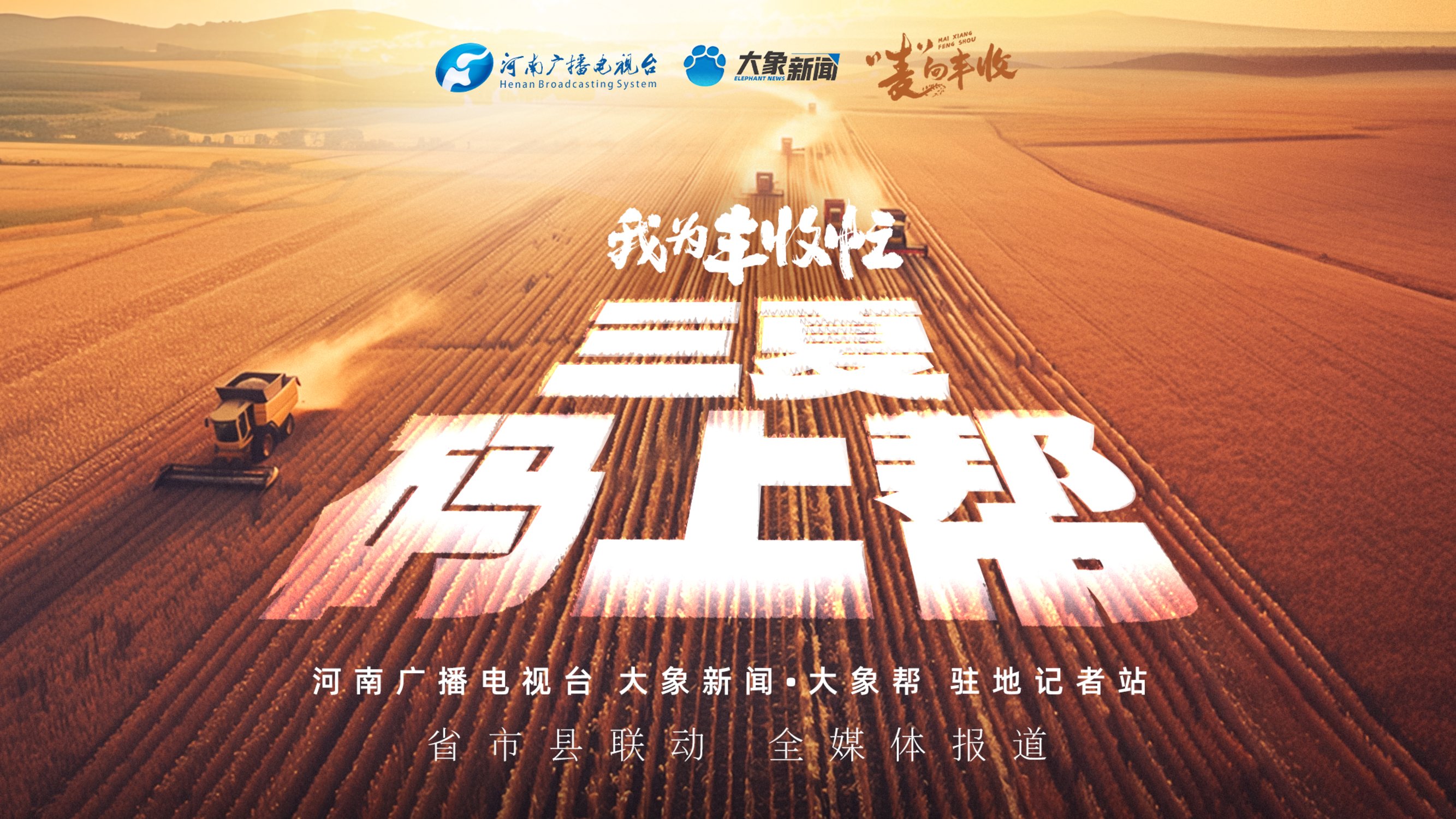 專題丨三夏“碼”上幫 我為豐收忙